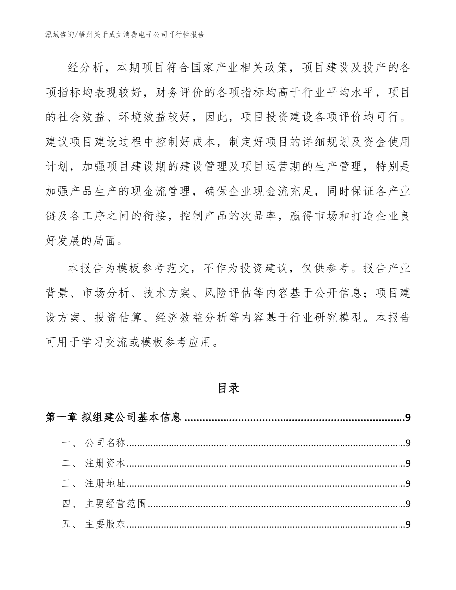 梧州关于成立消费电子公司可行性报告（模板范文）_第3页