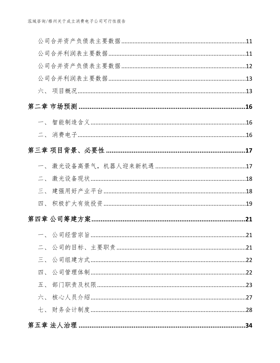 梧州关于成立消费电子公司可行性报告（模板范文）_第4页