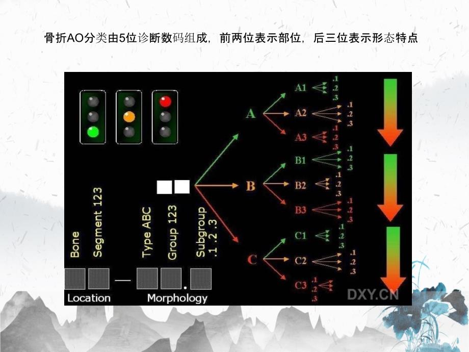 骨折的AO分型的剖析_第3页