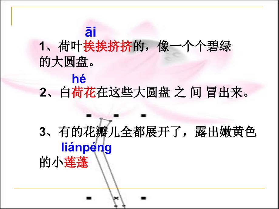 三年级下册语文课件3荷花｜人教新课标 (共59张PPT)_第2页