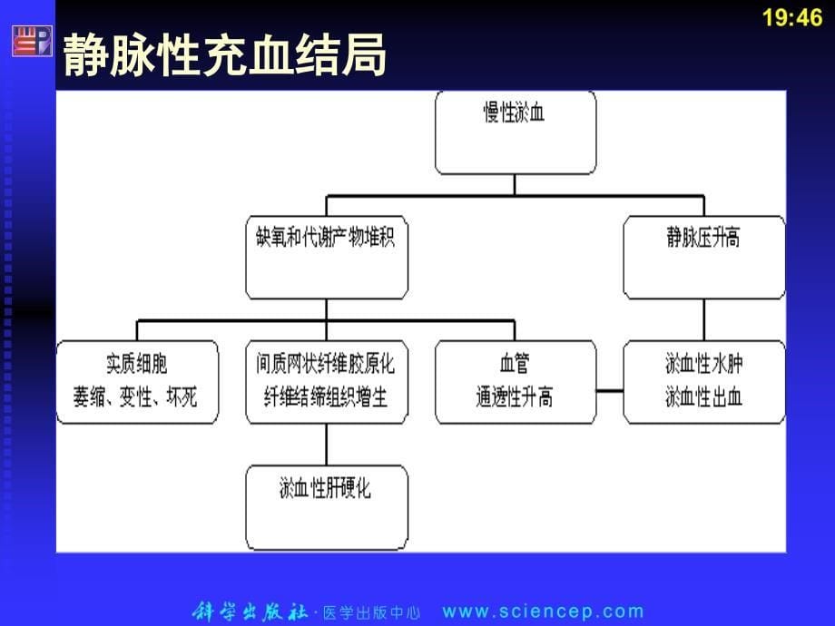 局部血液循环障碍(病理学基础教学课件)_第5页