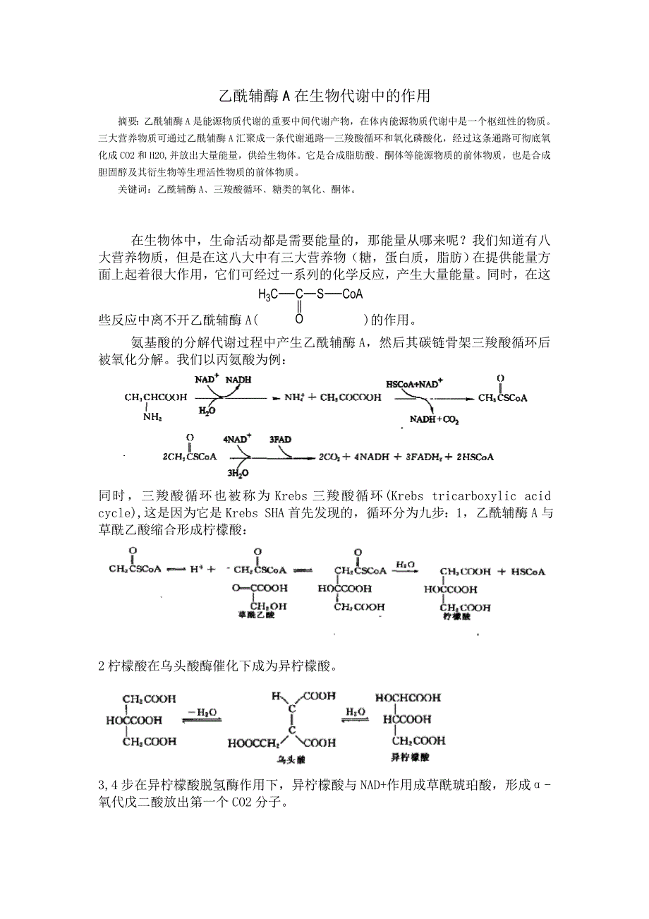 乙酰辅酶A在生物代谢中的作用_第1页