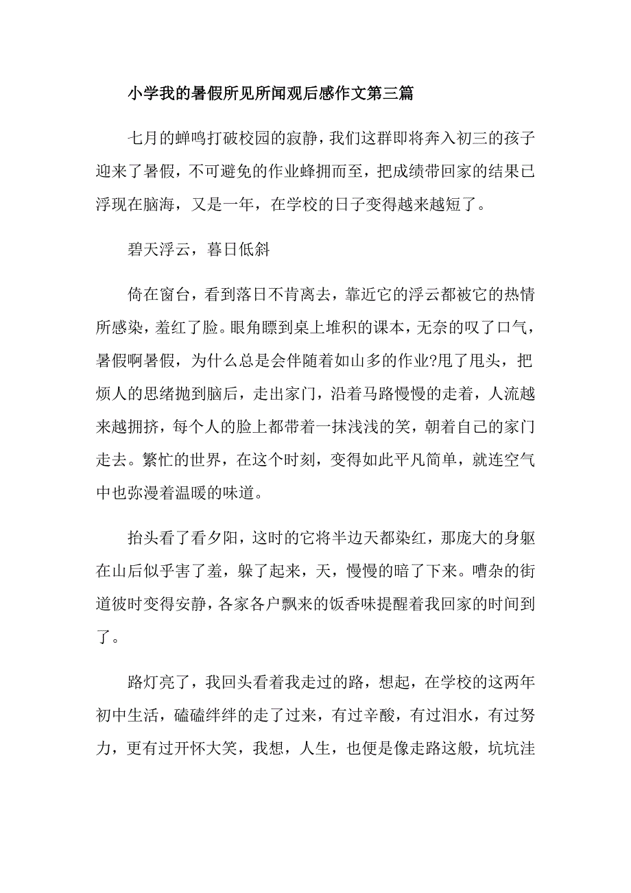 小学我的暑假所见所闻观后感作文精选_第4页