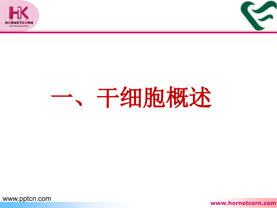 干细技术与临床应用合一康ppt课件_第4页