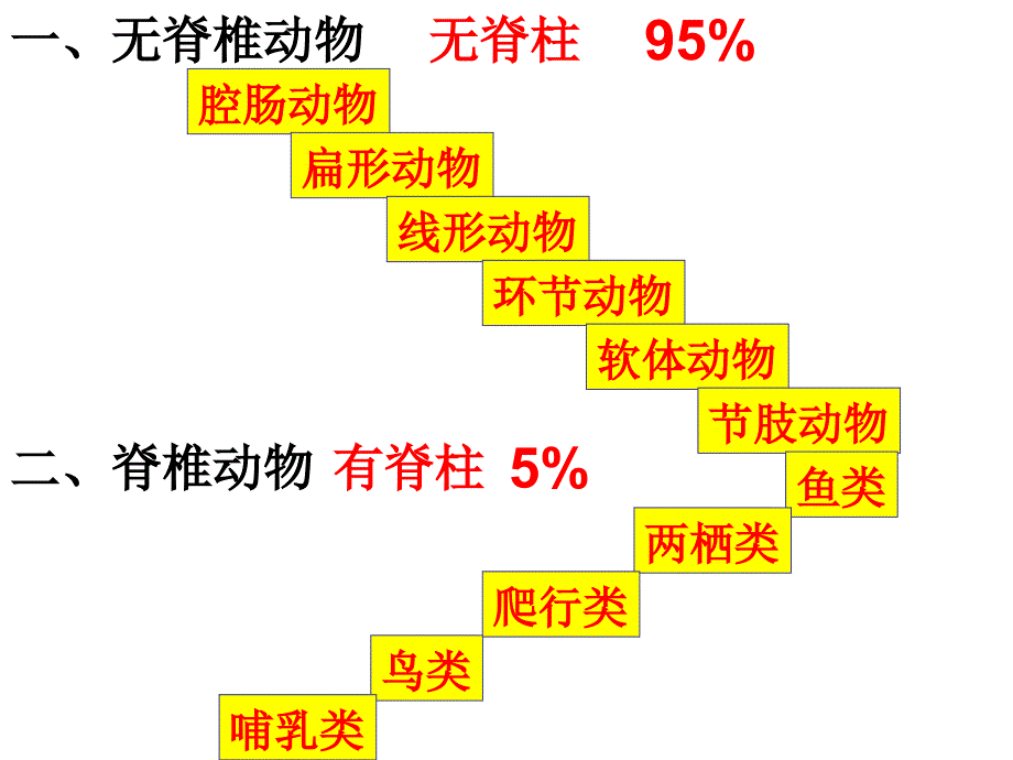 动物主要类群复习_第2页