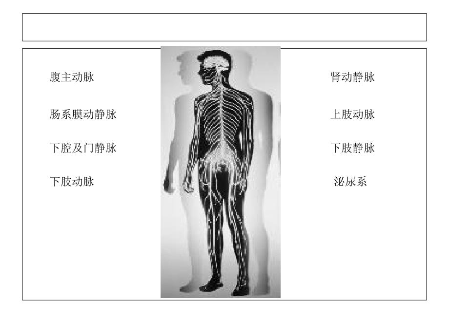 腹部及四肢CTA技术_第2页