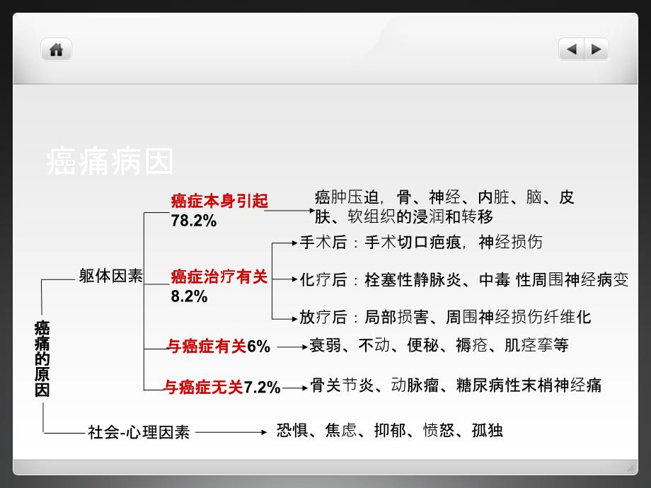 癌痛的规范化治疗_第3页