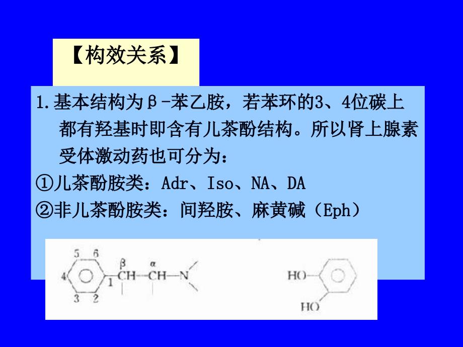 6第六章作用于肾上腺素受体的药物_第4页