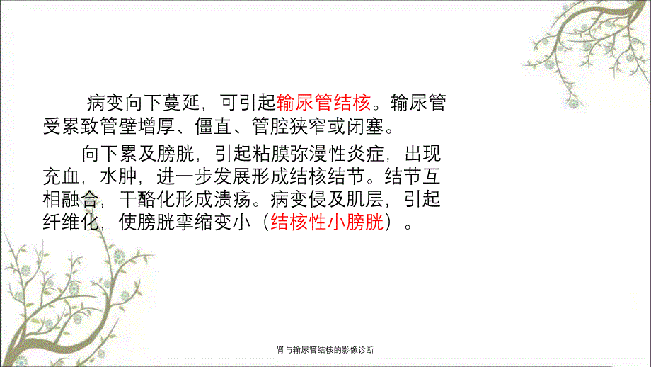 肾与输尿管结核的影像诊断_第3页