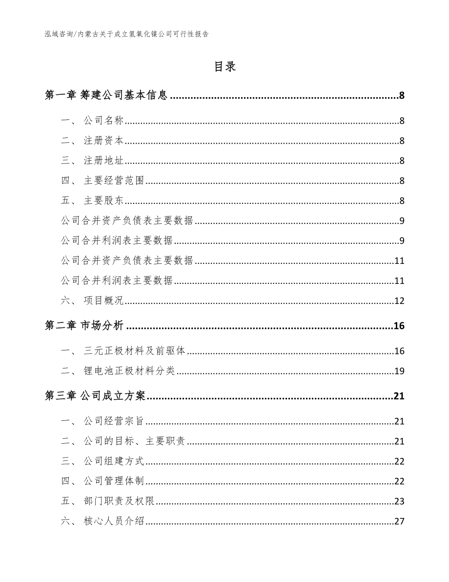 内蒙古关于成立氢氧化镍公司可行性报告（范文）_第2页
