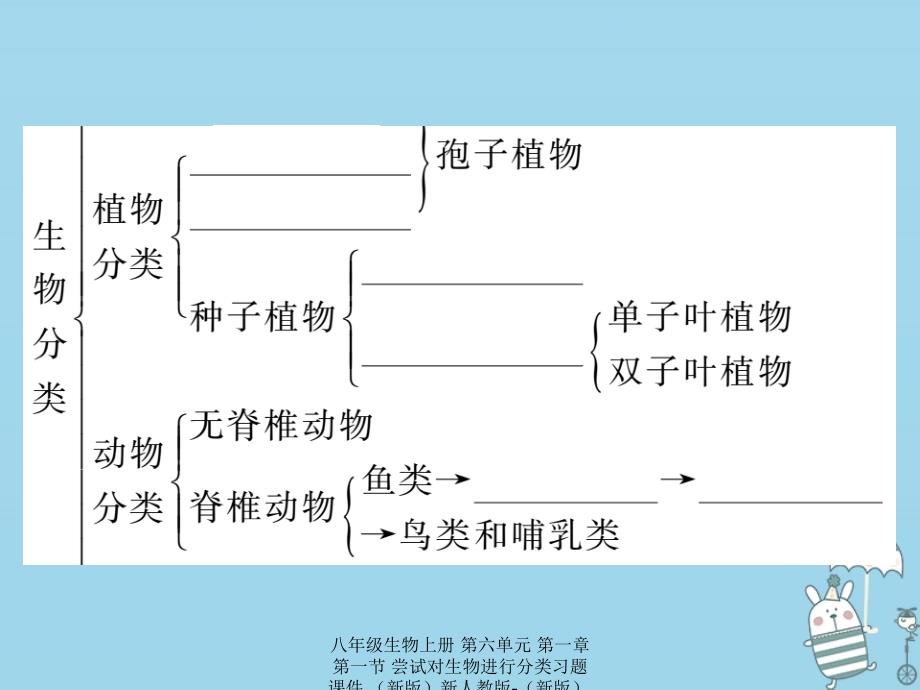 最新八年级生物上册第六单元第一章第一节尝试对生物进行分类习题_第3页