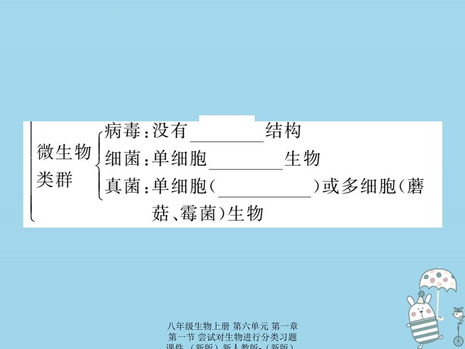 最新八年级生物上册第六单元第一章第一节尝试对生物进行分类习题_第4页