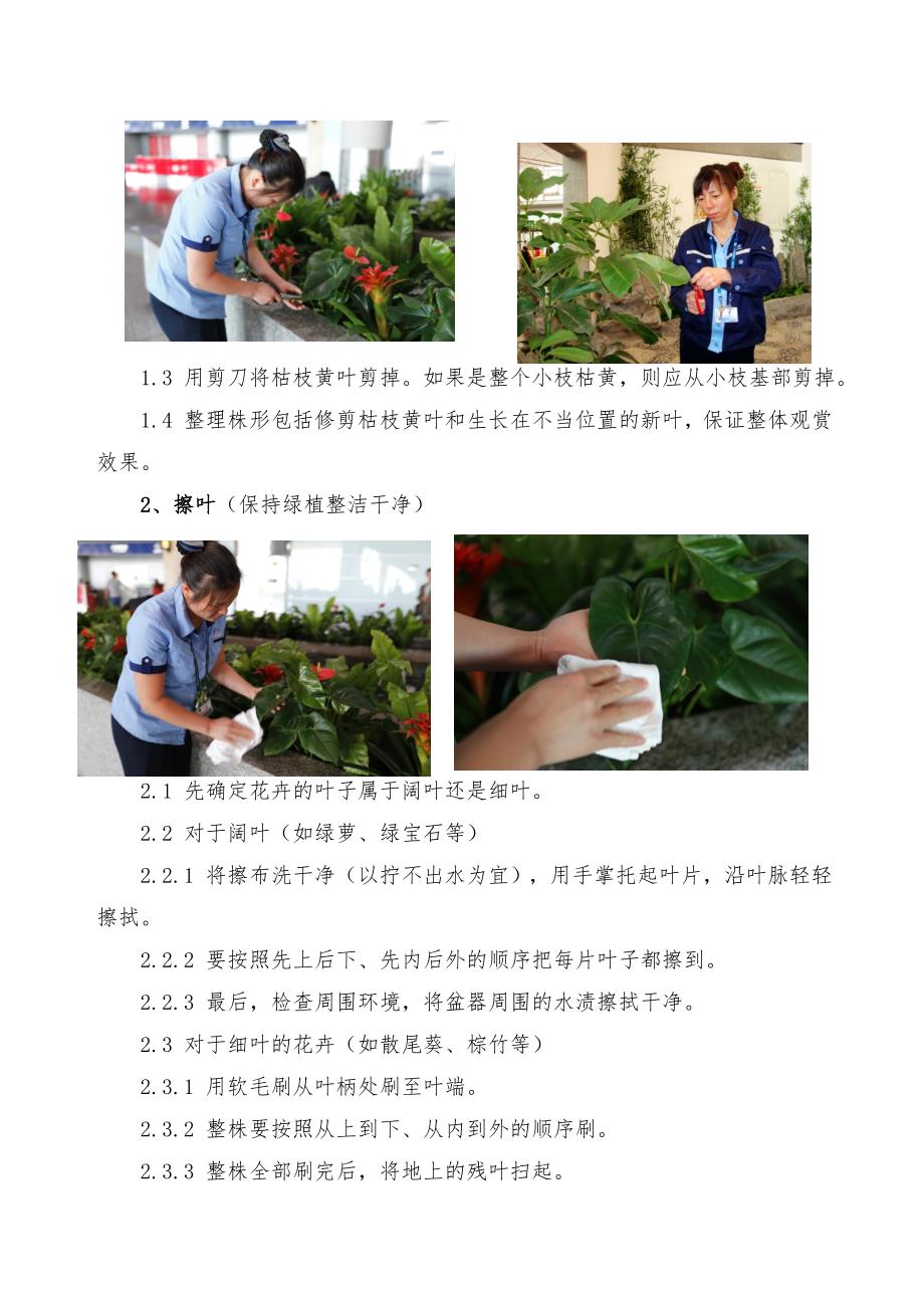 绿植租摆实施方案_第2页