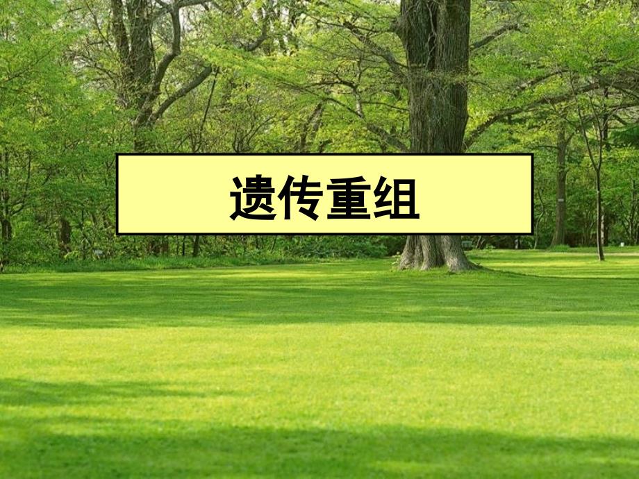 遗传学遗传重组_第1页