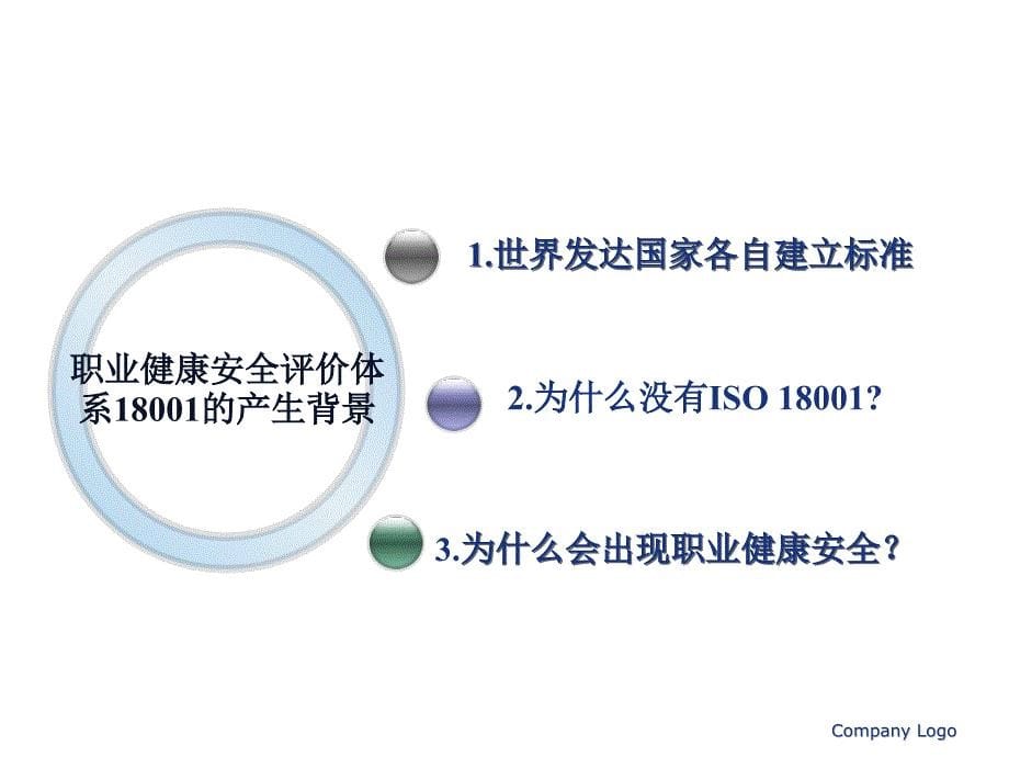 职业健康安全管理体系【强烈推荐非常经典】_第5页