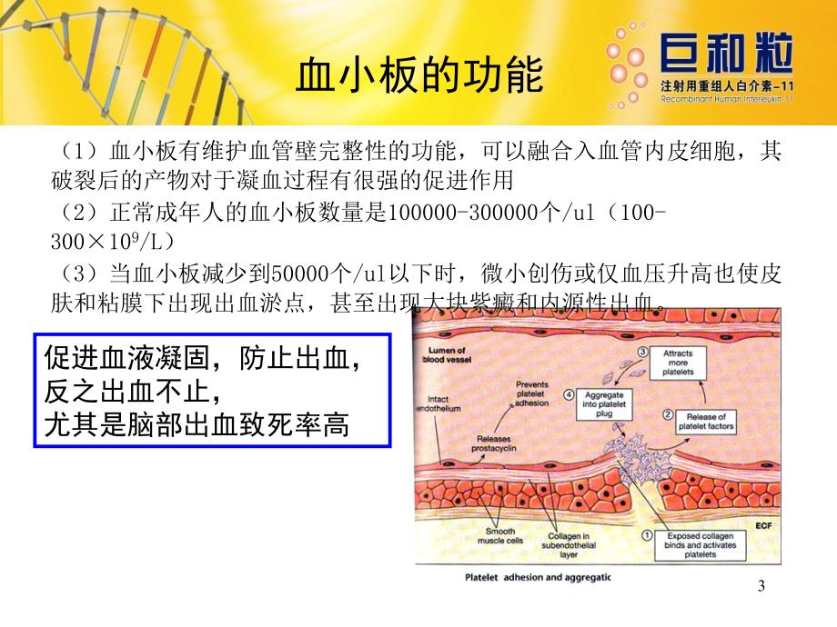 巨和粒培训PPT优秀课件_第3页