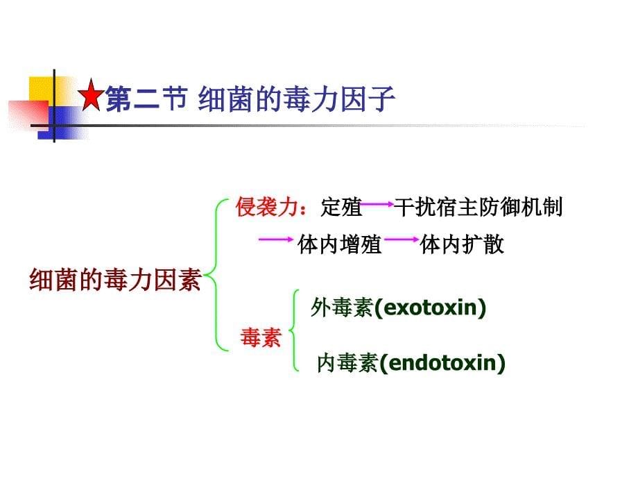 四章节细菌感染与致病机理_第5页