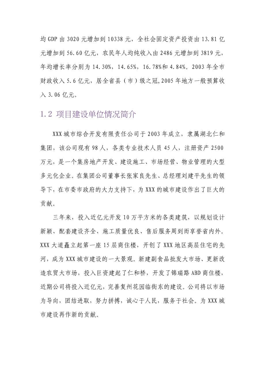 某农副产品贸易中心改扩建项目可研建议书资金申请报告.doc_第5页