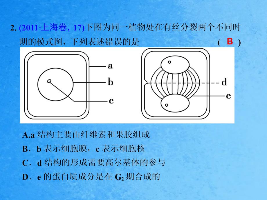 二轮复习专题三细胞的生命历程139张ppt课件_第3页