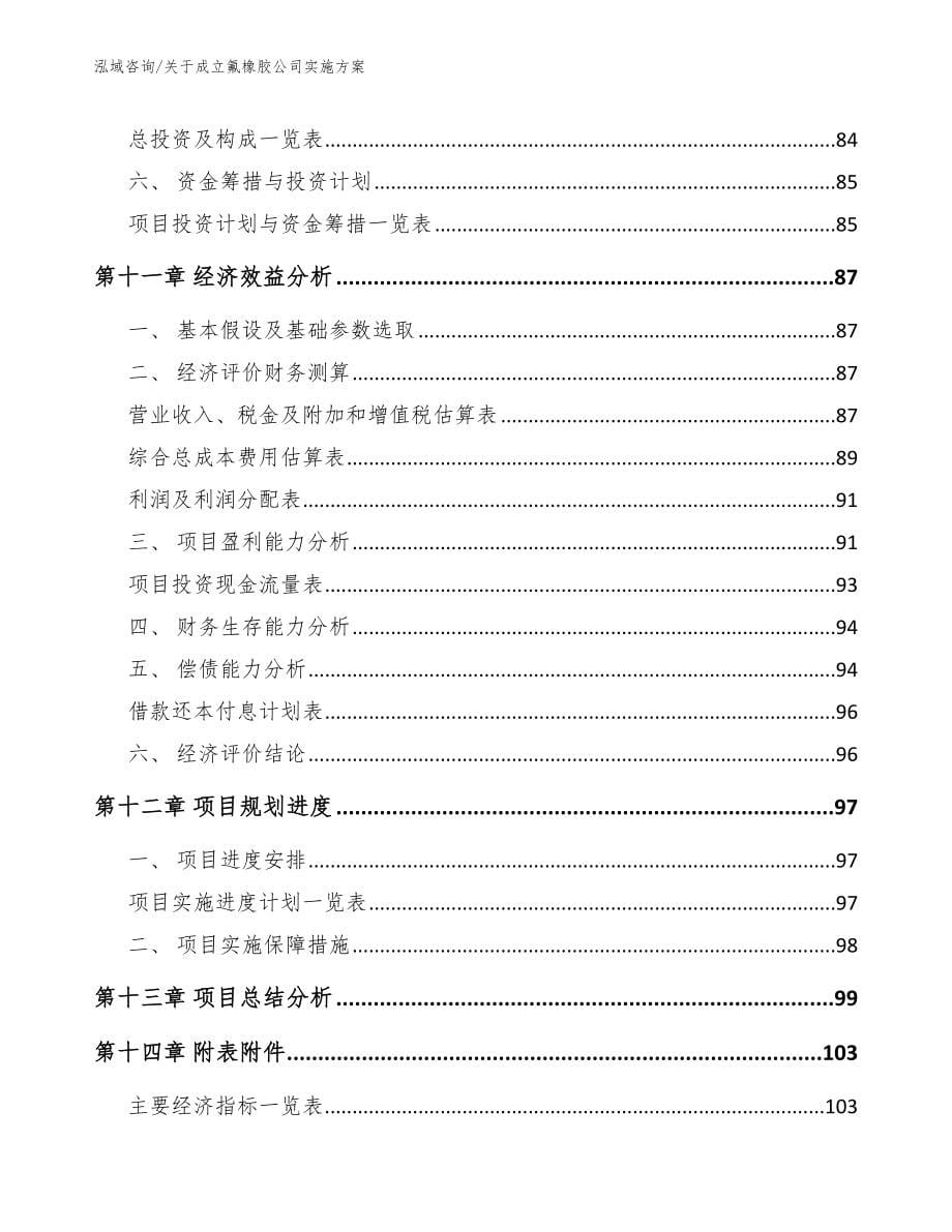 关于成立氟橡胶公司实施方案_第5页