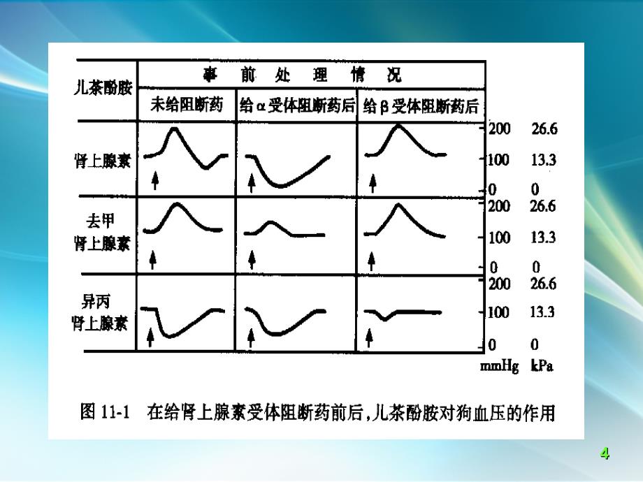 药理学课件之11-肾上腺素受体阻断药WJJ_第4页