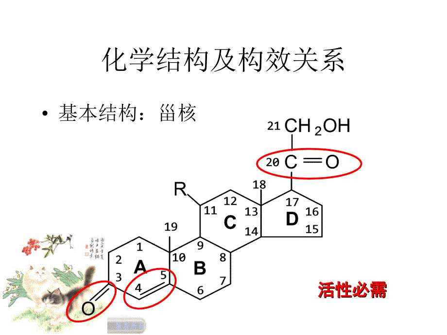 作用于内脏系统药物35_第2页