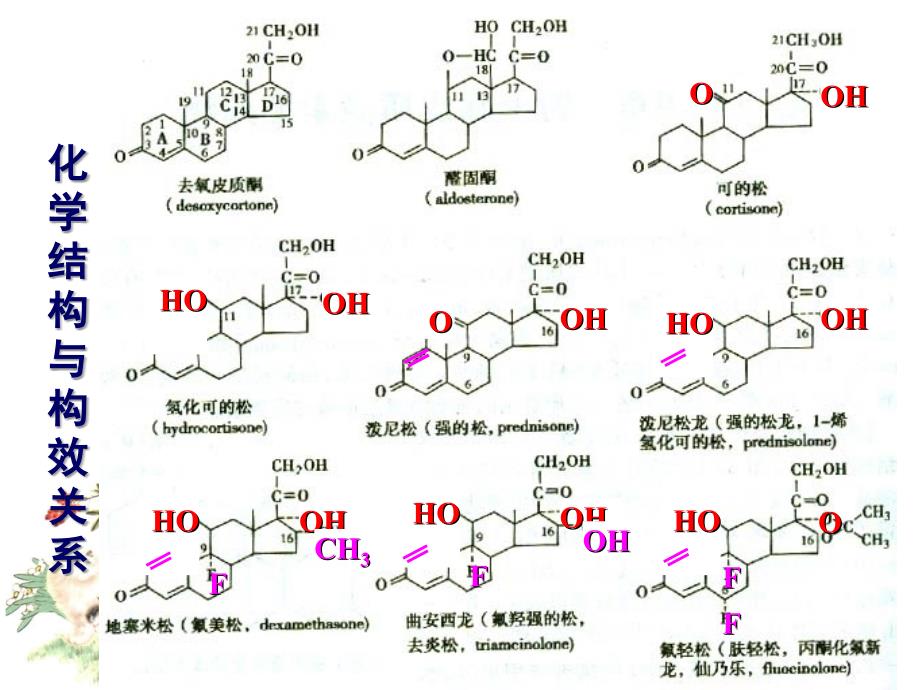 作用于内脏系统药物35_第3页