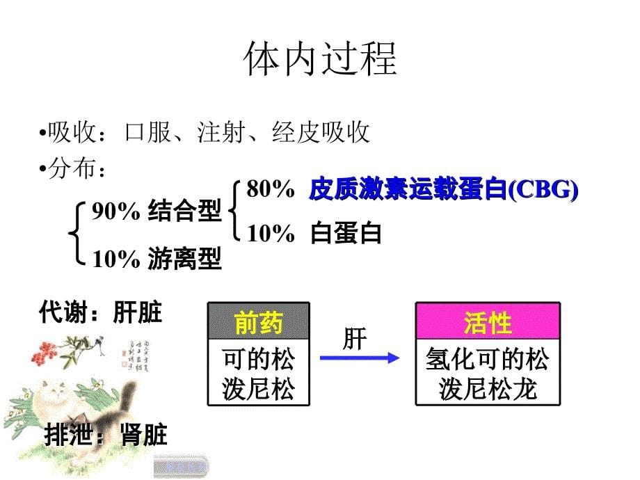 作用于内脏系统药物35_第5页