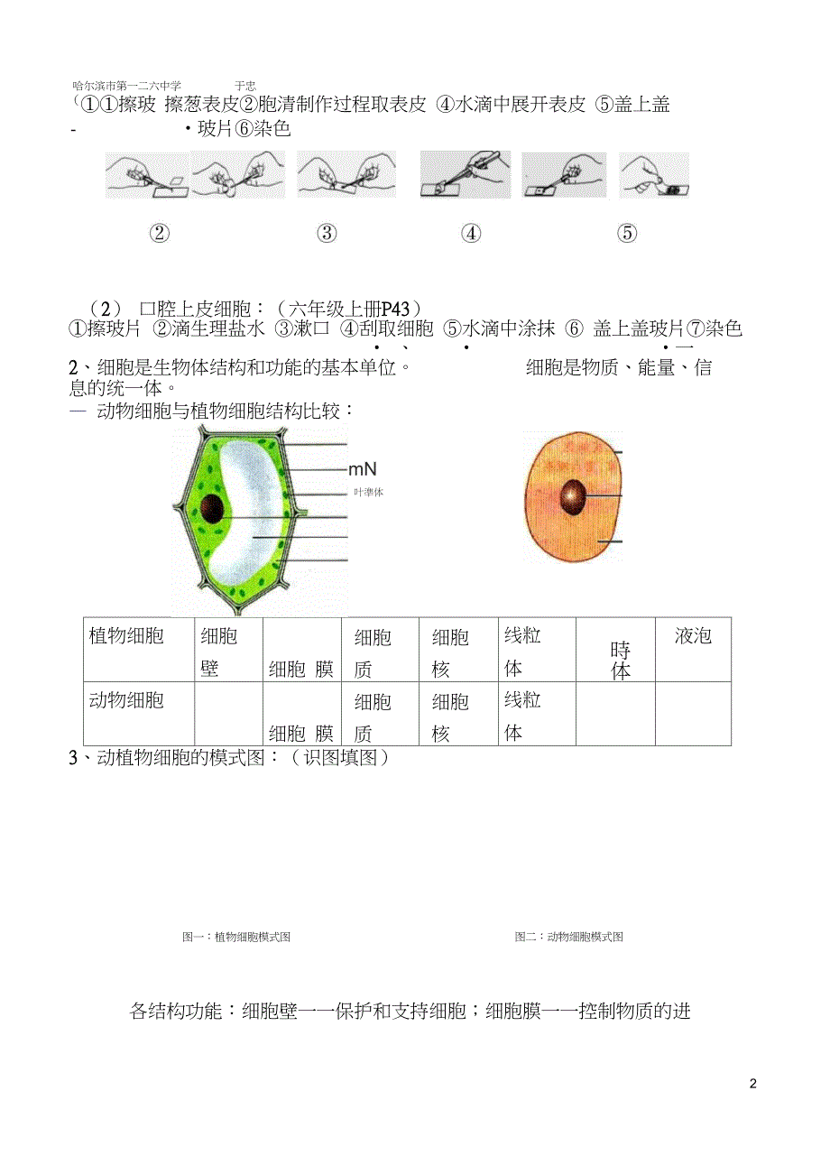 (完整word版)初中生物结业考试知识点复习(良心出品必属精品)_第2页