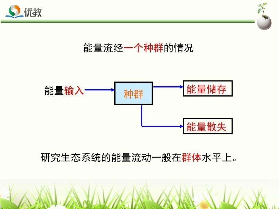 《生态系统的能量流动》精品课件_第5页