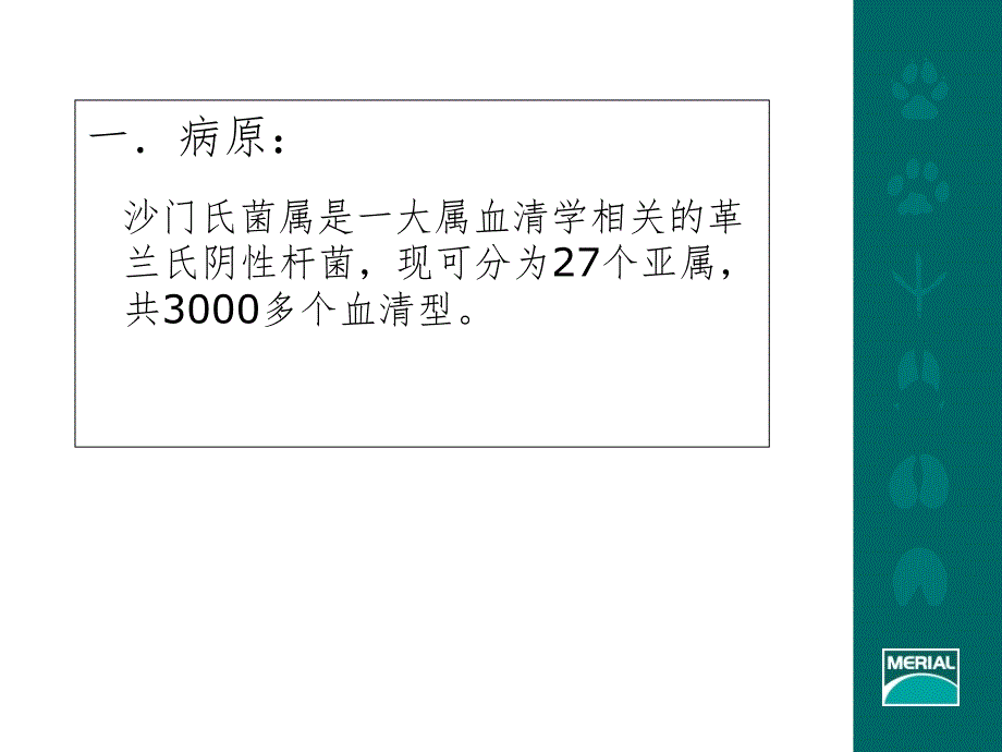 禽沙门氏菌病PPT演示课件_第2页