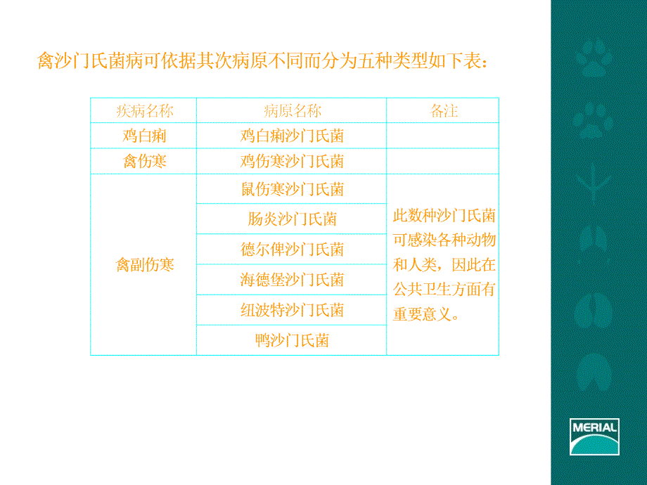 禽沙门氏菌病PPT演示课件_第3页