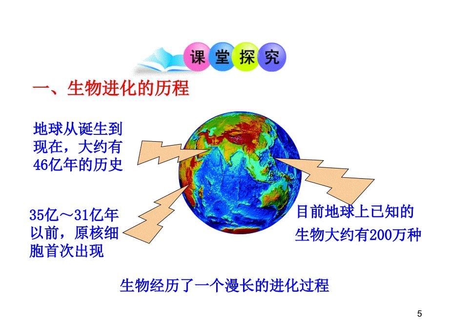 1213版高中生物多媒体同步授课课件：第五章第二节生物进化和生物多样性苏教版必修2_第5页