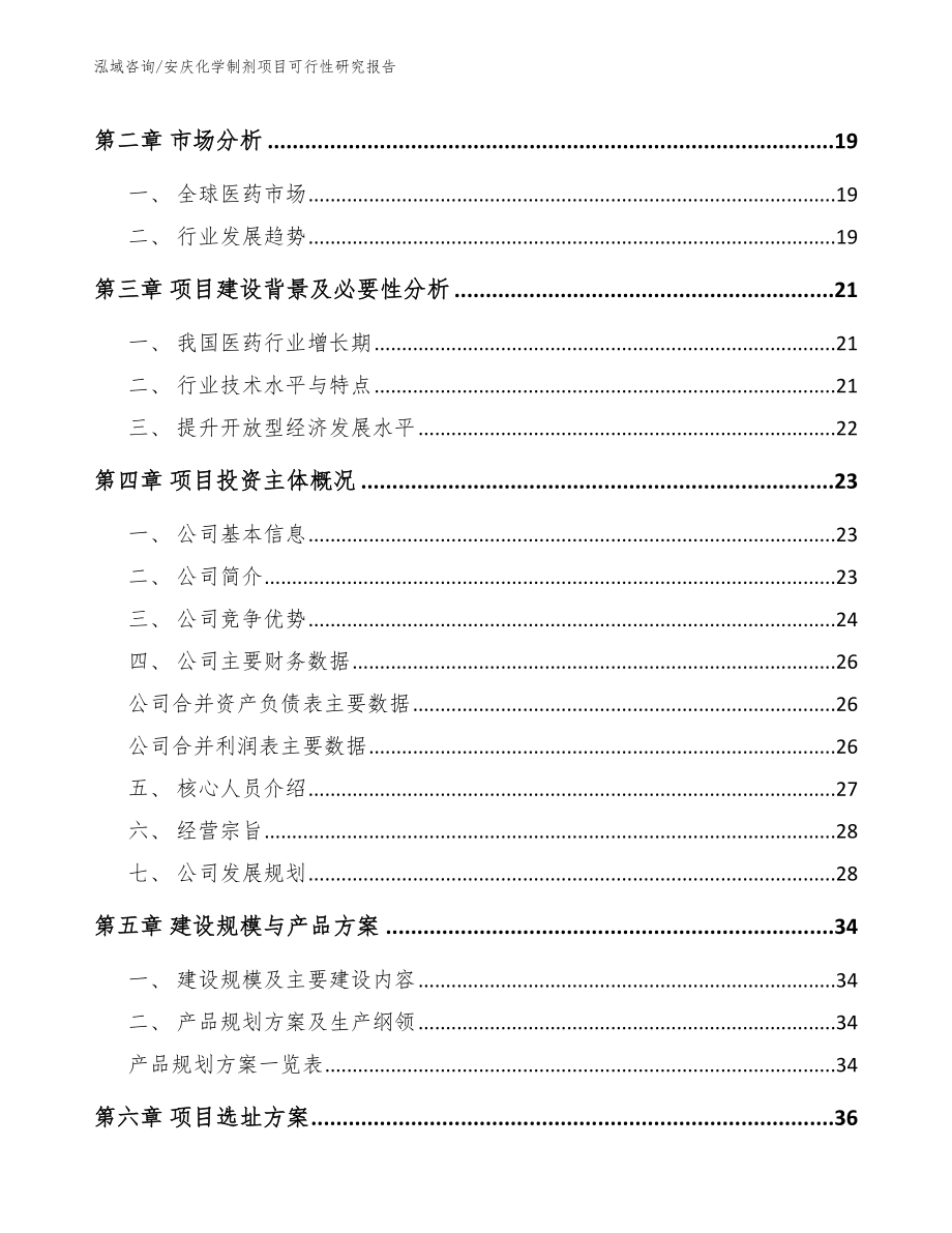 安庆化学制剂项目可行性研究报告_第3页