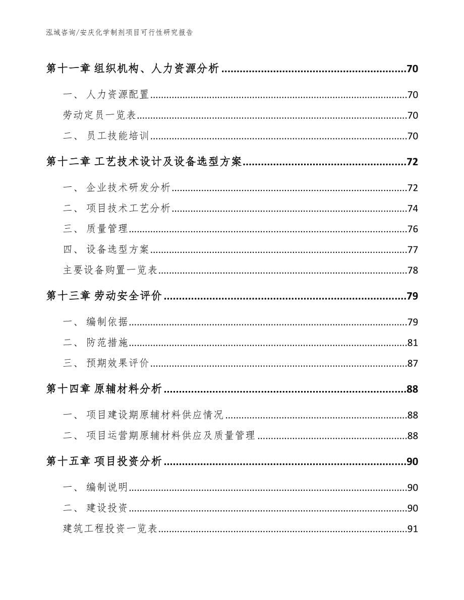 安庆化学制剂项目可行性研究报告_第5页