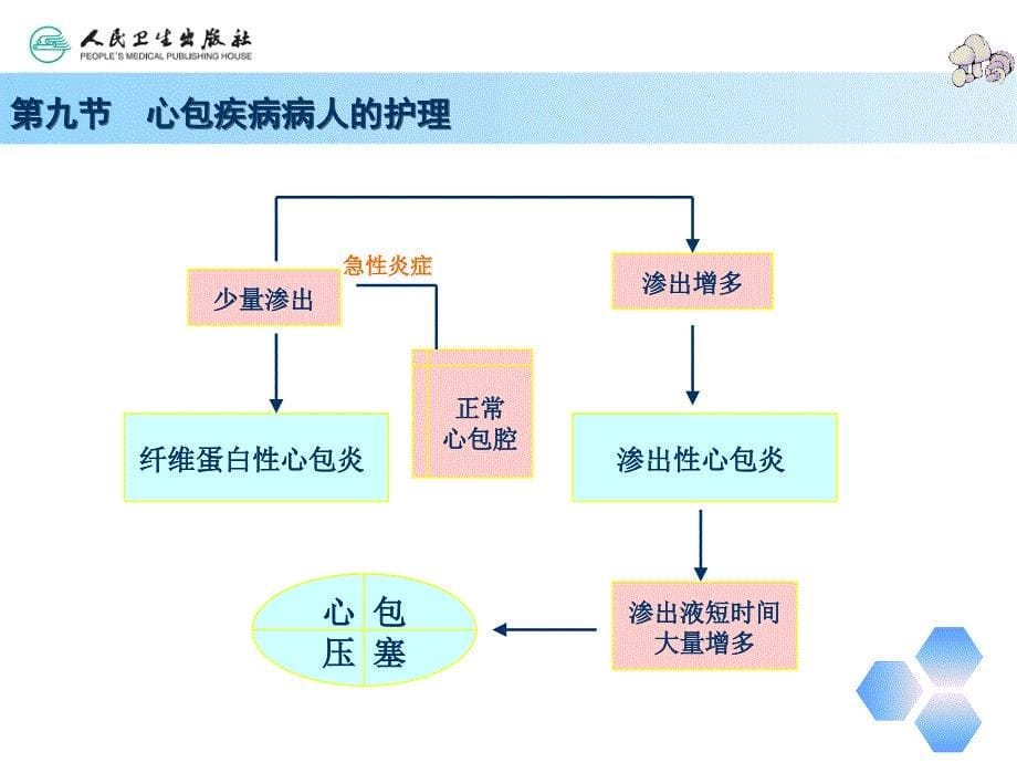 第三章循环系统第9节_第5页