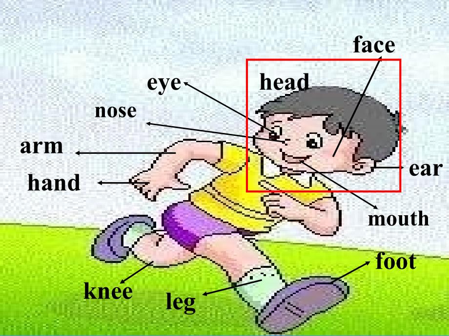 冀教版五年级下unit2Lesson13Takingpictures课件_第2页