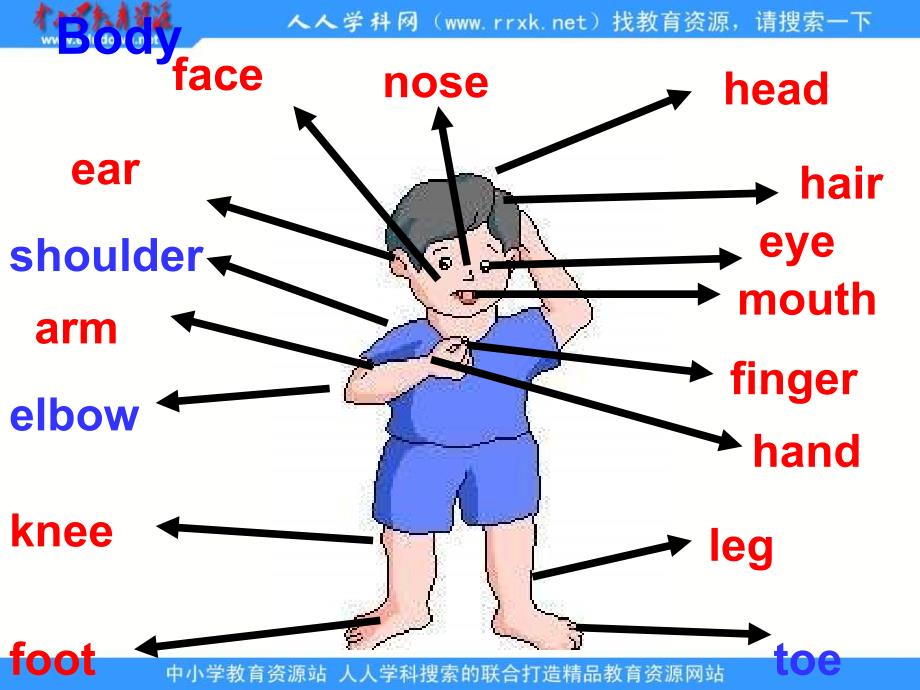 冀教版五年级下unit2Lesson13Takingpictures课件_第3页