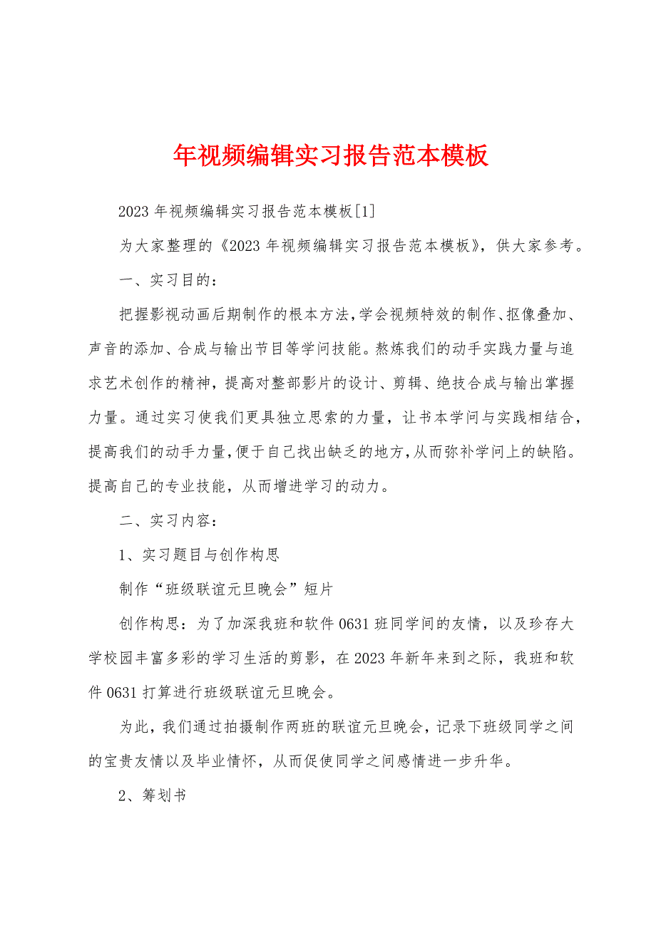 年视频编辑实习报告范本模板.docx_第1页