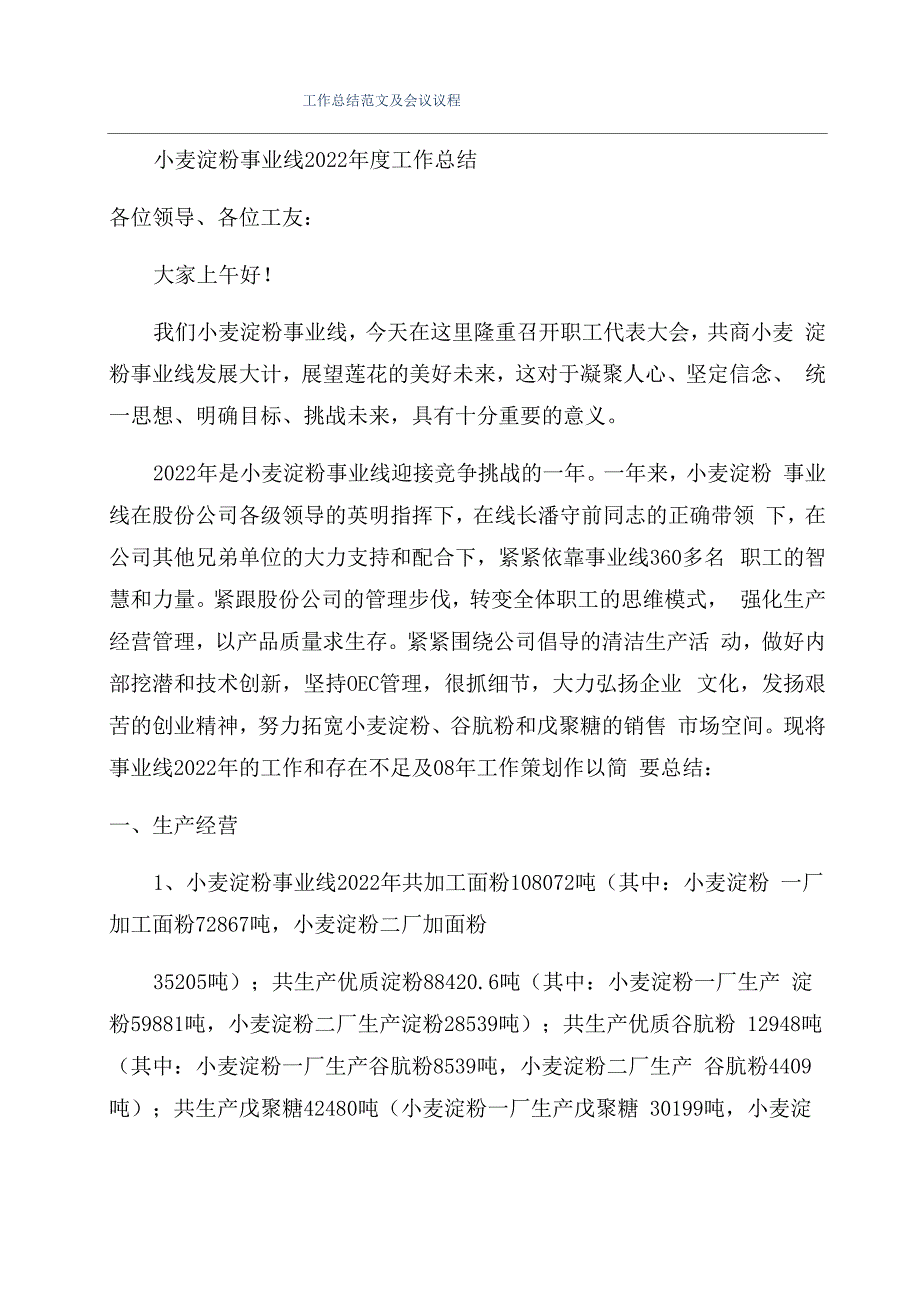 工作总结范文及会议议程_第1页