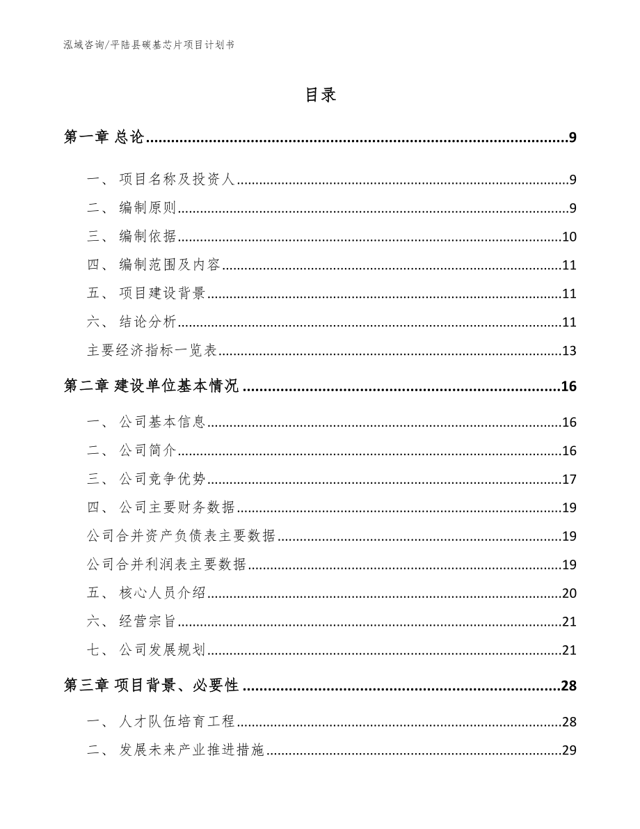 平陆县碳基芯片项目计划书_第2页