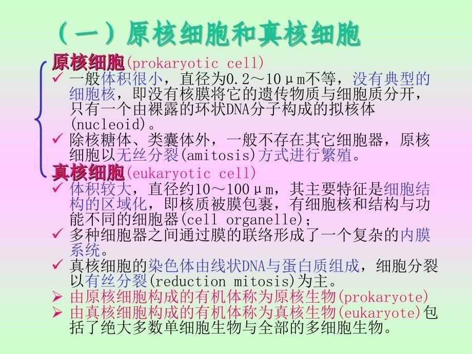 植物生理学：第一章 植物细胞的结构和功能1_第5页