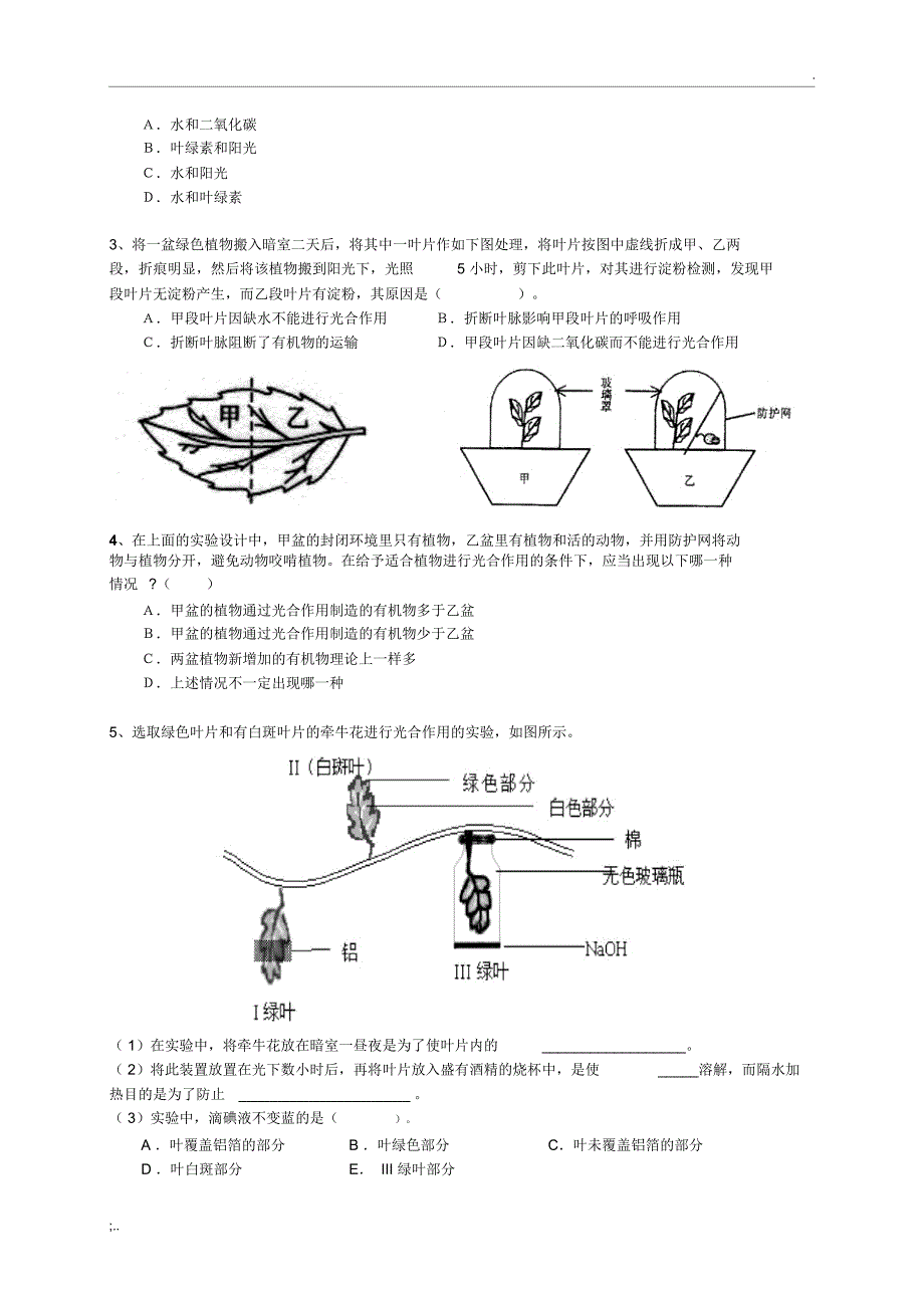 绿色植物的三大作用_第2页