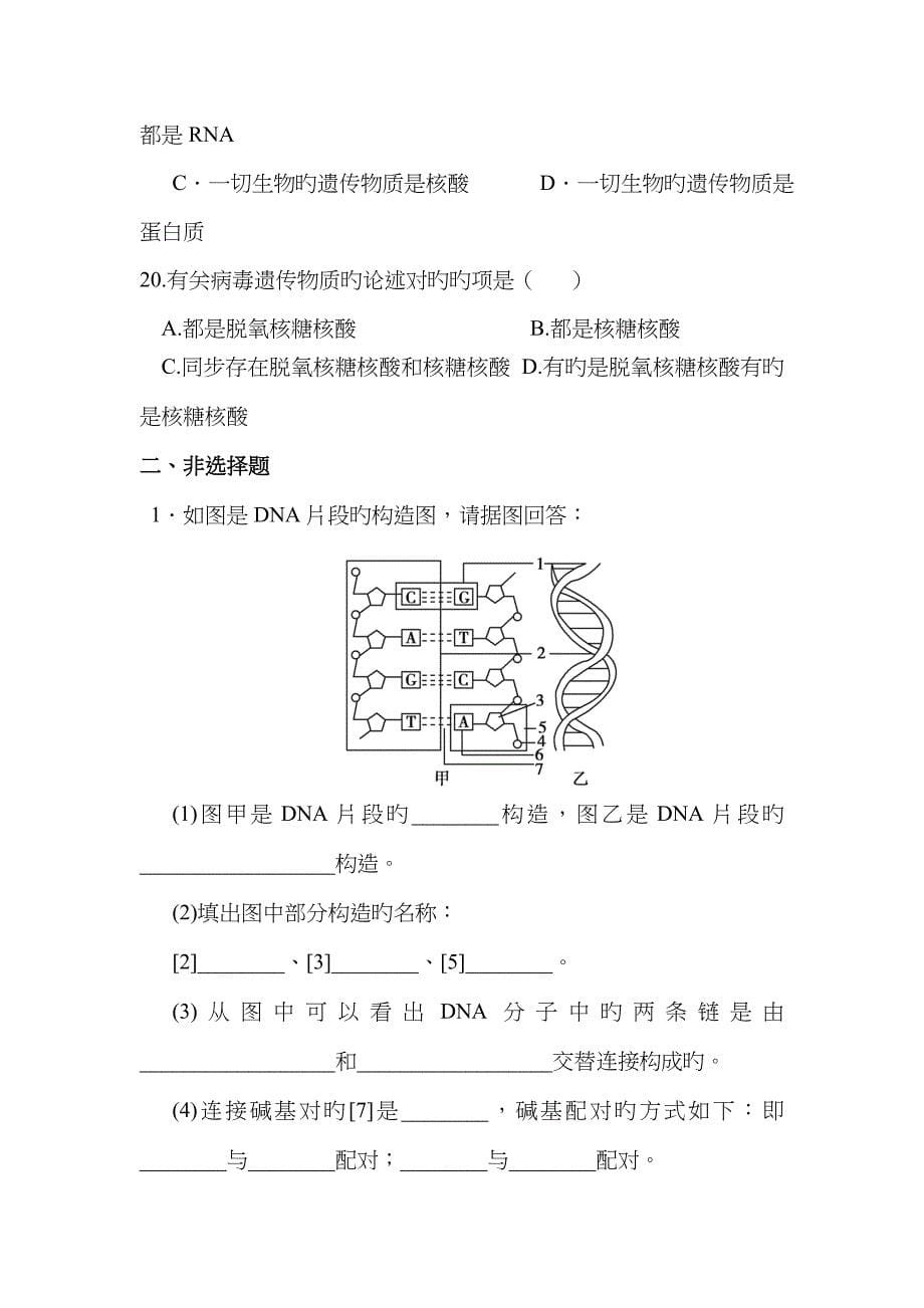 DNA是主要的遗传物质复习题及答案_第5页