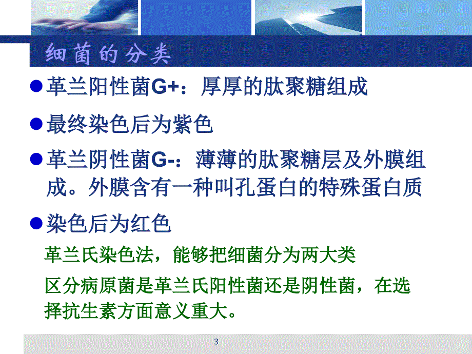 抗生素基础培训ppt课件1_第3页