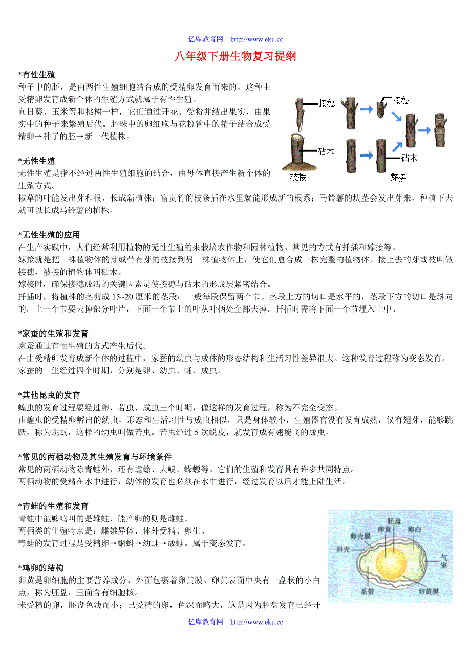 八年级生物下册复习提纲人教版.doc_第1页