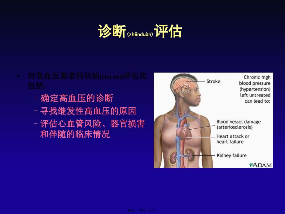 医学专题—欧洲高血压指南解读20093_第3页