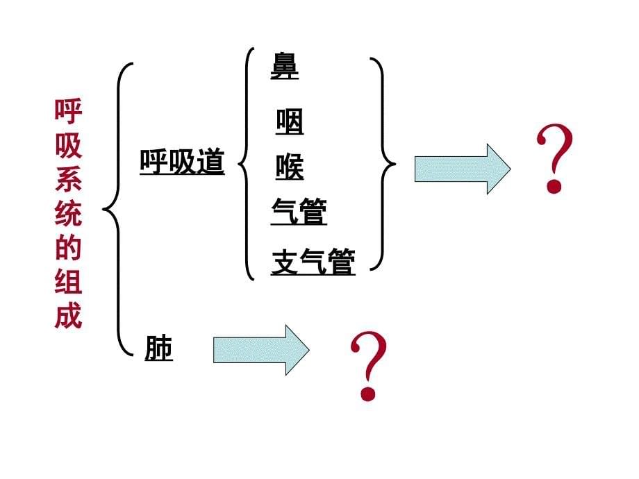 人教版生物七年级下册课件_第5页