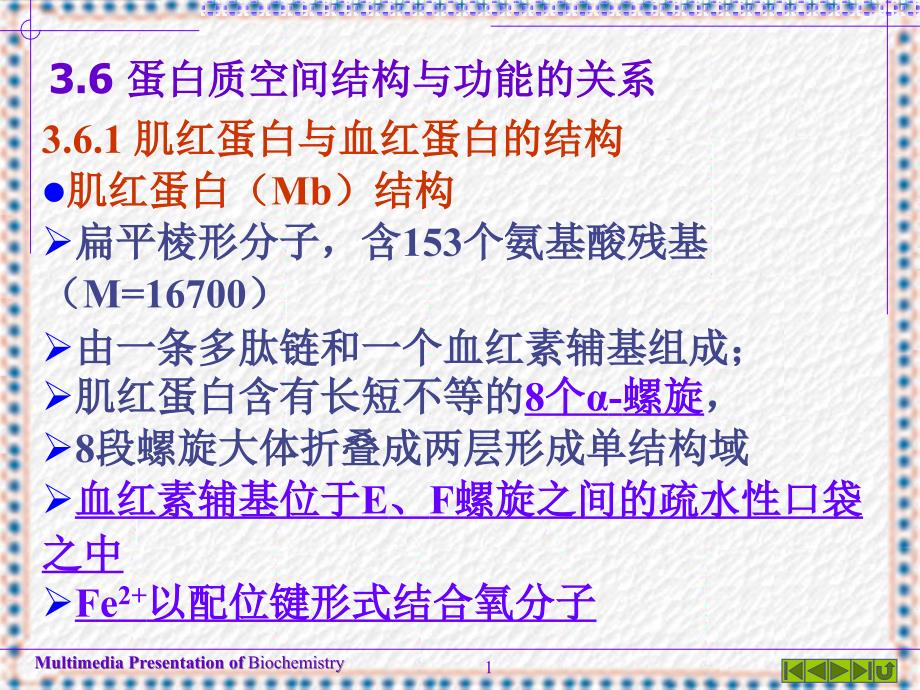 第3章蛋白质的高级结构_第1页