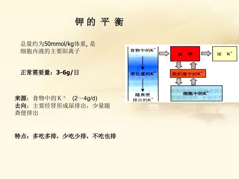 禁食危重病人补液_第5页